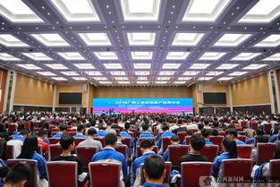 广西新闻最新爆料,揭秘神秘事件背后的真相