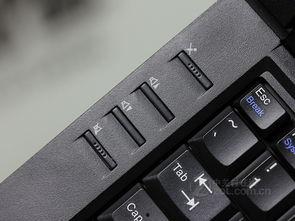 2842在线观看,穿越时空的奇幻之旅  第2张