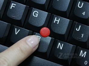 2842在线观看,穿越时空的奇幻之旅  第3张